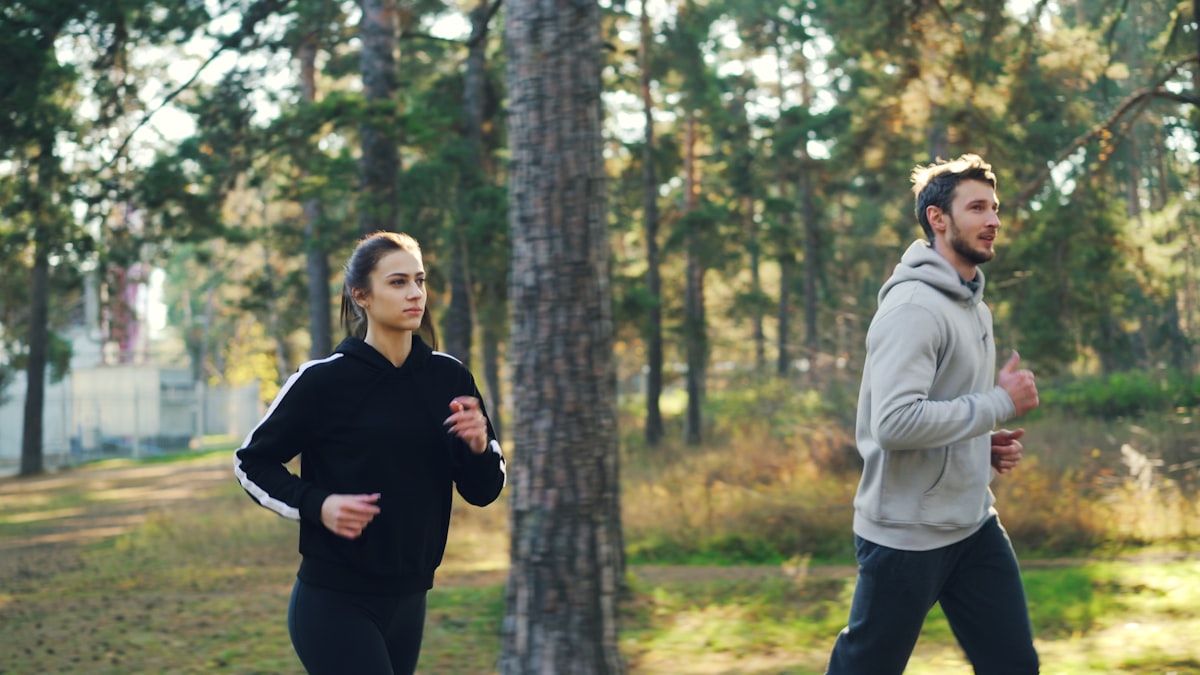 Functional fitness program